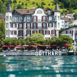 Seehotel Gotthard，位于韦吉斯的酒店