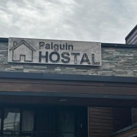 Hostal Palguin 261，位于普孔的酒店