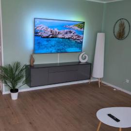 2 Zimmer Ferienwohnung nahe Schweiz，位于巴特塞京根的酒店