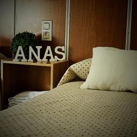 Hostal Anas，位于梅里达的酒店