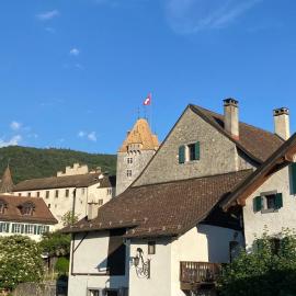 Studio avec vue sur le Château d'Aigle，位于埃格勒的酒店