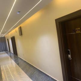 Adwels Hotel&Suites，位于阿库雷的酒店