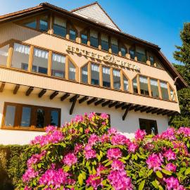 Hotel Daheim