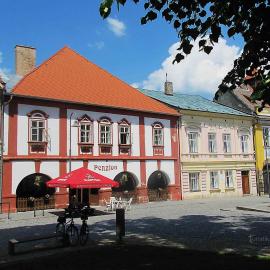 Restaurace a Penzion Podloubí，位于Opočno的酒店