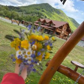 Chalet in Muntii Vrancei，位于Greşu的酒店