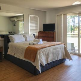 Large Studio with Patio and Pool，位于北特鲁罗的酒店