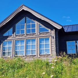 Mountain Holiday Homes Trillevallen - Mountain Birch Villa，位于奥勒的酒店