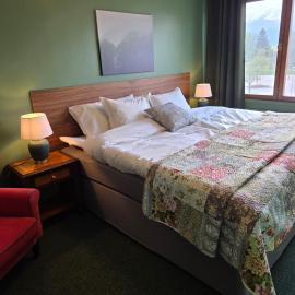 Hofors Stadshotell Bergsmannen,位于Hofors的酒店