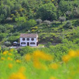 Podere le Serre，位于钦戈利的酒店