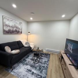 The Onyx Suite Sleek Modern Space Private Entry，位于里贾纳的酒店