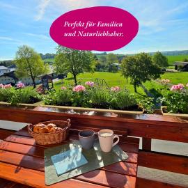 Ferienwohnung Matheaperle mit Infrarotkabine，位于Nidda的酒店