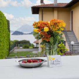 Villa Sanziana，位于梅纳焦的酒店