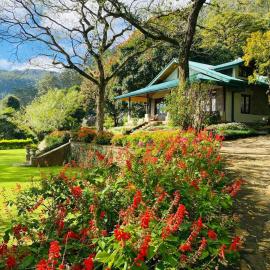 Bawlana Estate Kandy by Maniumpathy close to Pekoe Trail Stage 1 & 2，位于康提的酒店
