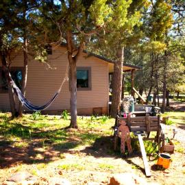 Peaceful Pine Place Cabin，位于Pine的酒店