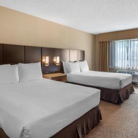 Best Western Seattle Airport Hotel,位于西塔科的酒店