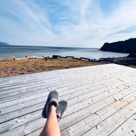 Aspy Bay Ocean Front Cottage，位于White Point的酒店