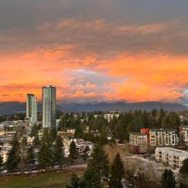 Skyline Haven