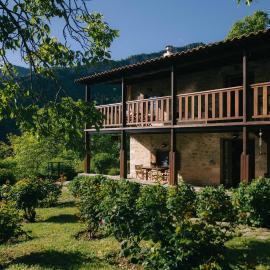 Meteora Mountain Stonehouse with Private Garden，位于Kleinón的酒店
