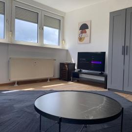 Stefans Apartments C - 20 min bis DD Messe und Flughafen inkl Parkplatz，位于维利希的酒店