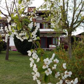 I 99 ulivi，位于Cavour的酒店