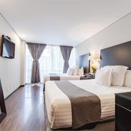 Suites Parioli，位于墨西哥城的酒店