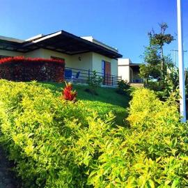 Riverwalk cabañas junto al rio，位于卡拉尔卡的酒店