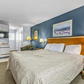 Pet Friendly Studio Condo with King Bed and Kitchenette - Pool and Hot Tub，位于洋滨市的酒店