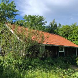 Family-Friendly Home In Beautiful Setting