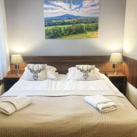 Hotel Pod Jeleniem,位于索布特卡的酒店