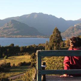 Cabaña el tilo - vistas al Lago Ranco，位于拉戈朗科的酒店