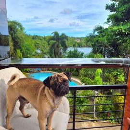 Riverduplex - Luxury duplex at a fair price