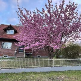 Vacation apartment between Berlin and Potsdam, 60 Quadratmeter mit glasfaser und Netflix，位于Brieselang的酒店