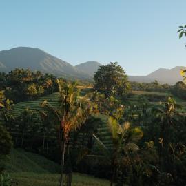 Saridevi Ecolodge，位于贾蒂卢维的酒店