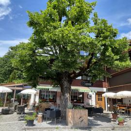Gasthof Tenne - Ferie mit Härz