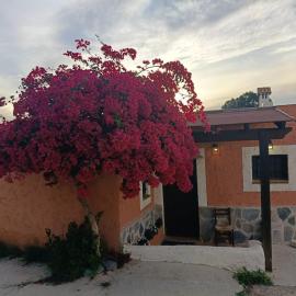 casita la bugamvilla