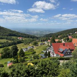 Berghof Grüner Baum，位于萨巴赫瓦登的酒店