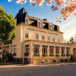 Pension & Restaurant Zu den Linden Radebeul，位于拉德博伊尔的酒店