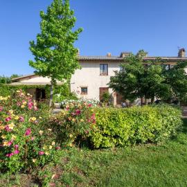 Agriturismo Il Barco，位于斯佩洛的酒店