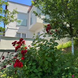 Villa Sunny Alley - Sunčani Sokak