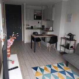 Departamento amoblado 1 dormitorio，位于康塞普西翁的酒店