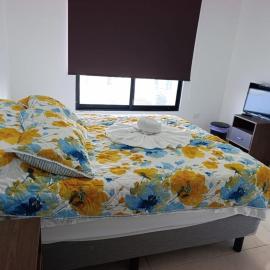 Beautiful house 2 bedroom wifi TV，位于Caucel的酒店
