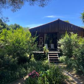 Pine Lodge - direct train to Porto，位于瓦隆古的酒店