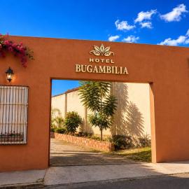 Hotel Bugambilia，位于Zimapán的酒店