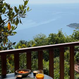 Om Living Pelion，位于圣季米特里奥斯的酒店