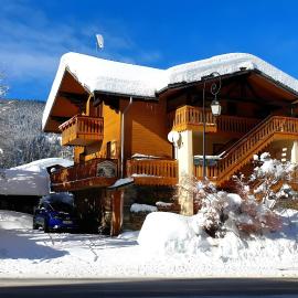 Gentiane 7 pers - proche pistes，位于沙泰勒的酒店