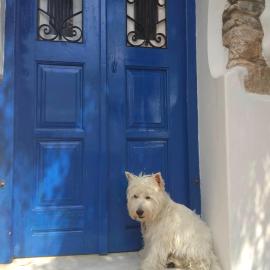 Blue & White: An Absolute Aegean dream house，位于加里尼的酒店