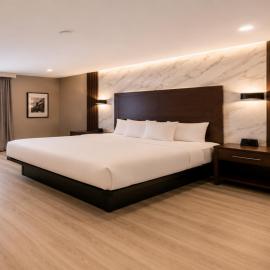 Hotel Pergola Jamaica JFK,位于皇后区的酒店