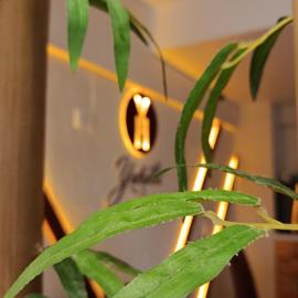 Hotel Yahalis,位于Jilotepec de Abasolo的酒店