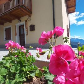 CAV MES VALLEES Torgnon Vda，位于托尔诺的酒店