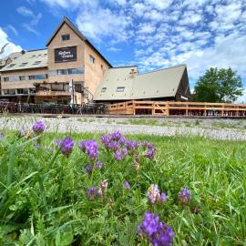 Le Balcon des Ecrins，位于雷阿隆的酒店